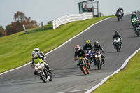 anglesey;brands-hatch;cadwell-park;croft;donington-park;enduro-digital-images;event-digital-images;eventdigitalimages;mallory;no-limits;oulton-park;peter-wileman-photography;racing-digital-images;silverstone;snetterton;trackday-digital-images;trackday-photos;vmcc-banbury-run;welsh-2-day-enduro